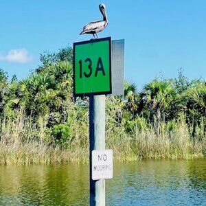 Meet your Posher, Noelle